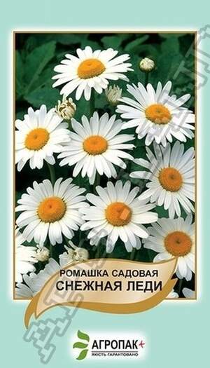 Ромашка садова Снігова Леді - 0,5 грам Ромашка садова Снігова Леді - 0,5 грам