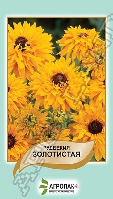 Рудбекія Золотиста – 0,1 грам, А Рудбекія Золотиста – 0,1 грам, А