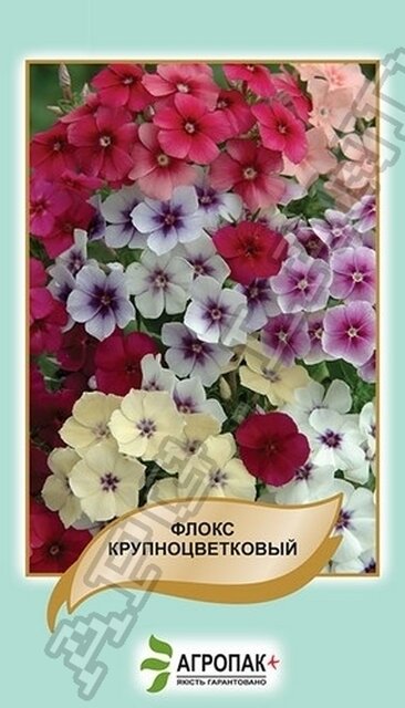 Флокс друмонда крупноквітковий, суміш - 0,2 грама, А Флокс друмонда крупноквітковий, суміш - 0,2 грама, А