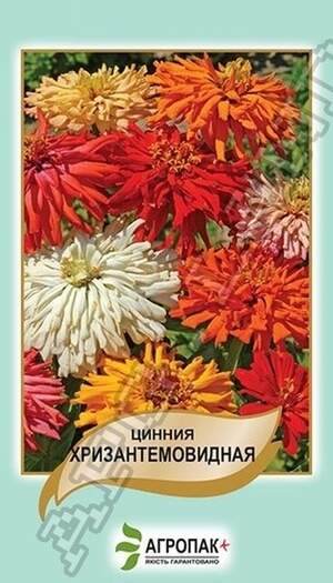 Цинія витончена Хризантемоподібна, суміш – 0,5 грам