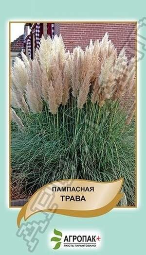 Пампасна трава, суміш – 0,02 грама А