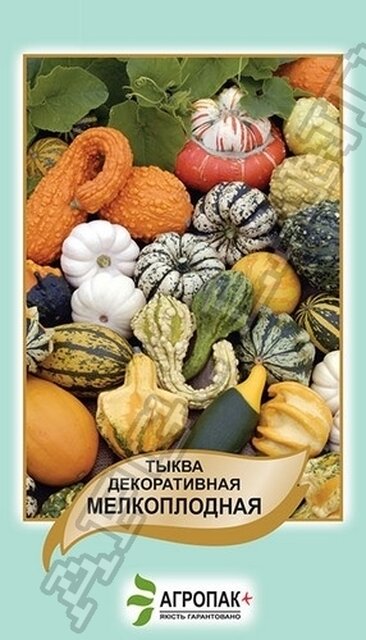 Гарбуз дрібноплідний декоративний - 10 насінин А Гарбуз дрібноплідний декоративний - 10 насінин А