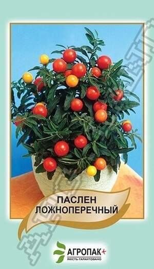 Паслін ложноперічний - 0,2 грама А Паслін ложноперічний - 0,2 грама А