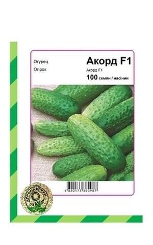 Огірок Акорд F1 - 100 насінин А (Bejo Zaden) Огірок Акорд F1 - 100 насінин А (Bejo Zaden)