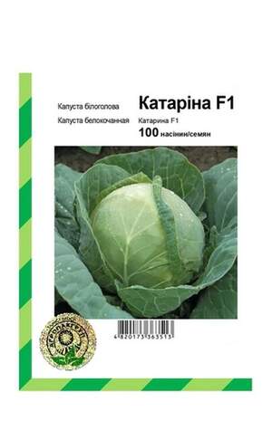 Капуста білокачанна Катарина F1 - 100 насінин А (Bejo Zaden)