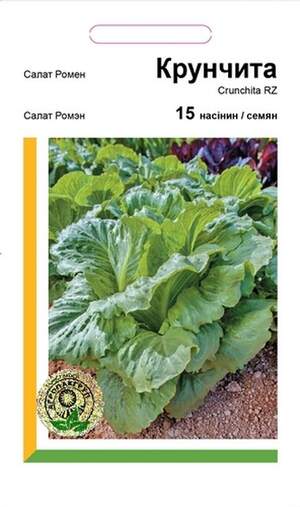 Салат Ромен Крунчіта - 15 насіння А (Rijk Zwaan) Салат Ромен Крунчіта - 15 насіння А (Rijk Zwaan)