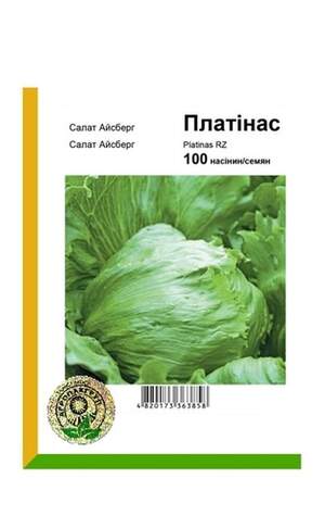Салат Айсберг Платінас - 100 насінин А (Rijk Zwaan) Салат Айсберг Платінас - 100 насінин А (Rijk Zwaan)