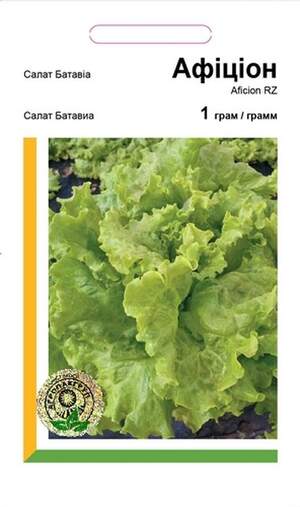 Салат Батавіа Афіціон - 1 грам А (Rijk Zwaan) Салат Батавіа Афіціон - 1 грам А (Rijk Zwaan)