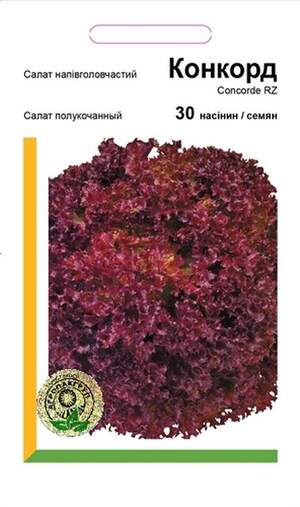 Салат напівкачаний Конкорд - 30 насінин А (Rijk Zwaan) Салат напівкачаний Конкорд - 30 насінин А (Rijk Zwaan)