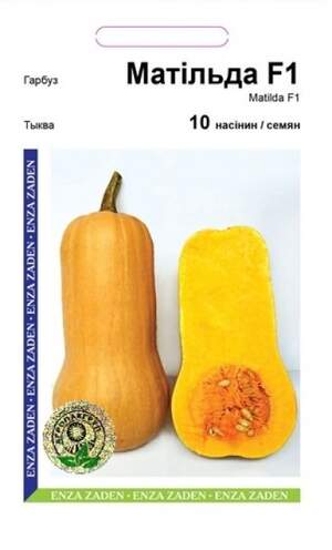 Гарбуз Матильда F1 - 10 насінин А (Enza Zaden) Гарбуз Матильда F1 - 10 насінин А (Enza Zaden)