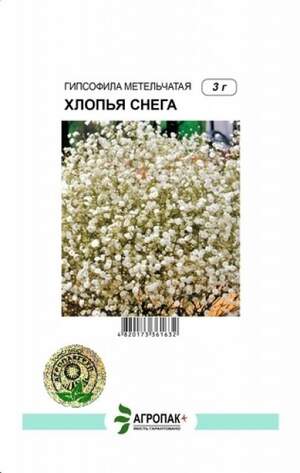 Гіпсофіла хуртовина Пластівці снігу - 3 грами А