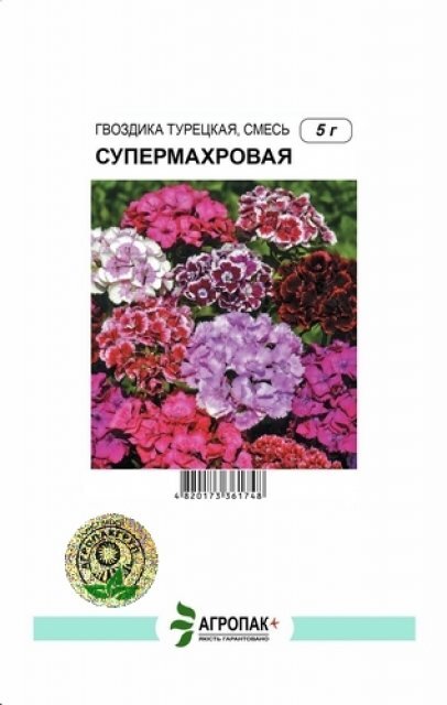 Гвоздика турецька Супермахрова, суміш - 5 грам А Гвоздика турецька Супермахрова, суміш - 5 грам А