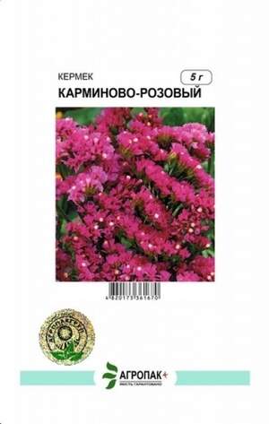 Кермек виїмчастий Карміново-рожевий - 5 грам А