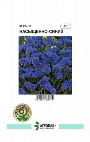 Кермек виїмчастий Насичено-синій - 5 грам А