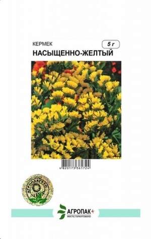 Кермек виїмчастий Насичено-жовтий – 5 грам А