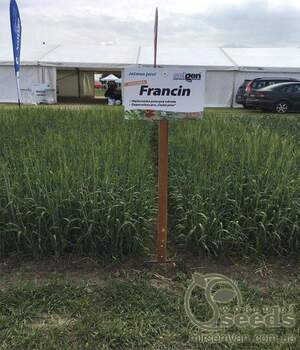 Ячмінь ярий "Францин" (1 репрод.) 100 кг. Оригінатор - "Selgen, as", Чехія