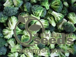 Капуста броколі Бесті F1 (Besty F1) 2 500 н.  (Syngenta)