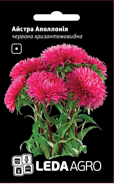 Астра "Аполлонія", червона хризантемоподібна 0,2г. L (Hem Zaden BV Нідерланди) Астра "Аполлонія", червона хризантемоподібна 0,2г. L (Hem Zaden BV Нідерланди)