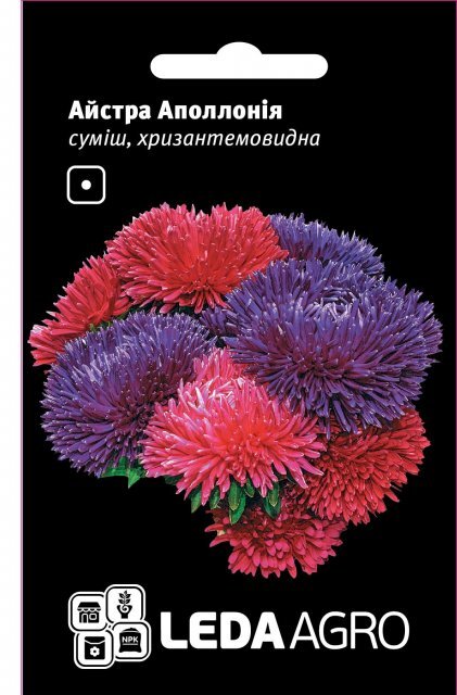 Астра "Аполлонія", суміш хризантемоподібна 0,2г. L (Hem Zaden BV Нідерланди) Астра "Аполлонія", суміш хризантемоподібна 0,2г. L (Hem Zaden BV Нідерланди)