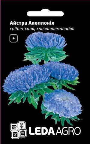 Астра "Аполлонія", срібно-синя хризантемоподібна 0,2г. L (Hem Zaden BV Нідерланди)