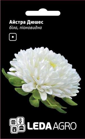 Астра "Дюшес", біла, пионовидна 0,2г. L (Hem Zaden BV Нідерланди)