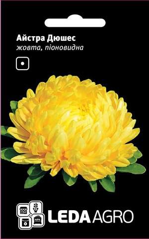 Астра "Дюшес", жовта, піоновідна 0,2г. L (Hem Zaden BV Нідерланди)