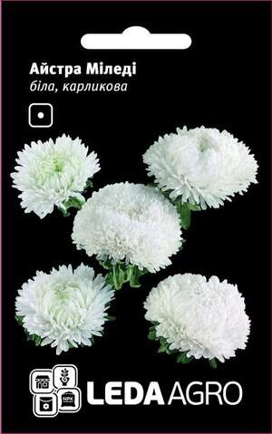 Астра "Міледі", біла, карликова 0,2г. L (Hem Zaden BV Нідерланди)