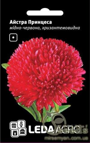 Астра "Принцеса", мідно-червона, хризантемоподібна 0,2г. L (Hem Zaden BV Нідерланди)