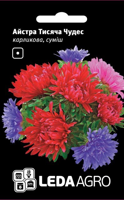 Айстра тисяча чудес, карликова, суміш 0,2г. L (Hem Zaden BV Нідерланди) Айстра тисяча чудес, карликова, суміш 0,2г. L (Hem Zaden BV Нідерланди)
