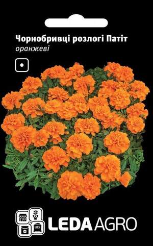 Чорнобривці розлогі "Патит", оранжеві 0,25г. L (Hem Zaden BV Нідерланди)