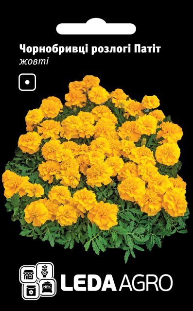 Чорнобривці розлогі Чорнобривці розлогі