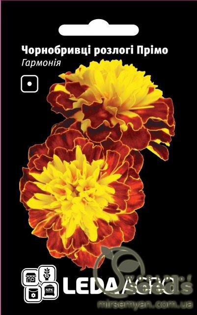 Чорнобривці розлогі Прімо, "Гармонія" 0,2 г (Hem Zaden BV Netherlands) Чорнобривці розлогі Прімо, "Гармонія" 0,2 г (Hem Zaden BV Netherlands)