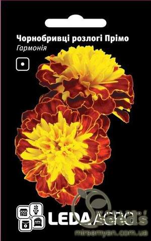 Чорнобривці розлогі Прімо, "Гармонія" 0,2 г (Hem Zaden BV Netherlands)