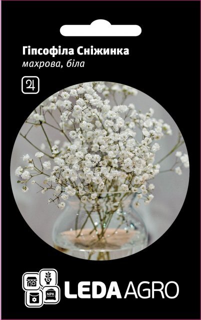 Гіпсофіла біла 0,1г. L (Hem Zaden BV Нідерланди) Гіпсофіла біла 0,1г. L (Hem Zaden BV Нідерланди)