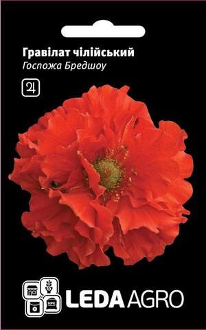 Гравілат чилійський, "Пані Бредшоу" 0,1г. L (Hem Zaden BV Нідерланди)