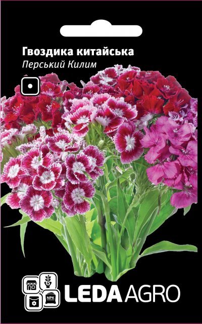 Гвоздика китайська "Перський килим" 0,1г. (Hem Zaden BV Netherlands) Гвоздика китайська "Перський килим" 0,1г. (Hem Zaden BV Netherlands)