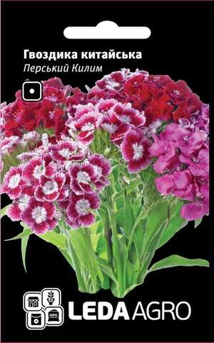 Гвоздика китайська "Перський килим" 0,1г. (Hem Zaden BV Netherlands)