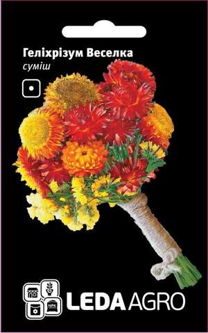 Геліхризум (Безсмертник), суміш "Райдуга" 0,2г. L (Hem Zaden BV Нідерланди)