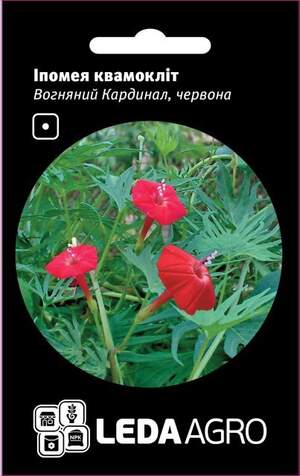 Іпомея квамокліт, червона "Вогненний Кардинал" 0,5г. L (Hem Zaden BV Нідерланди)