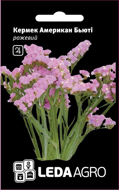 Кермек, рожевий "Американ Бьюті" 0,15г. L (Hem Zaden BV Нідерланди) Кермек, рожевий "Американ Бьюті" 0,15г. L (Hem Zaden BV Нідерланди)