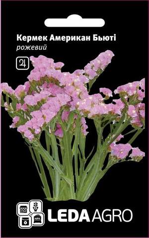 Кермек, рожевий "Американ Бьюті" 0,15г. L (Hem Zaden BV Нідерланди)