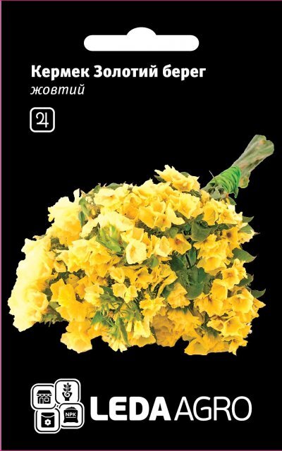 Кермек жовтий "Золотий берег" 0,15г. L (Hem Zaden BV Нідерланди) Кермек жовтий "Золотий берег" 0,15г. L (Hem Zaden BV Нідерланди)