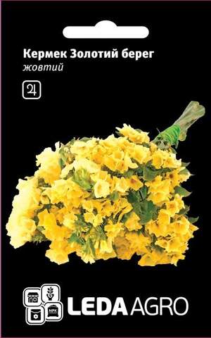 Кермек жовтий "Золотий берег" 0,15г. L (Hem Zaden BV Нідерланди)