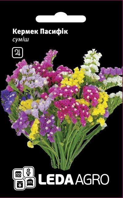 Кермек, суміш "Пасіфік" 0,1 L (Hem Zaden BV Netherlands) Кермек, суміш "Пасіфік" 0,1 L (Hem Zaden BV Netherlands)