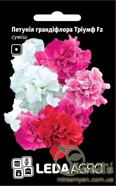 Петунія Петунія