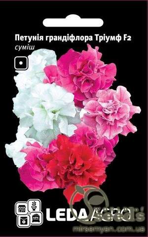 Петунія "Тріумф" F2, суміш 0,01г. L (Hem Zaden BV Нідерланди) Петунія "Тріумф" F2, суміш 0,01г. L (Hem Zaden BV Нідерланди)