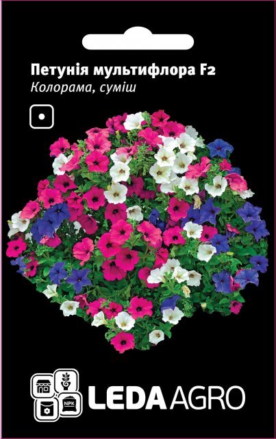 Петунія мультифлора "Колорама" F2, суміш 0,02г. L (Cherny Чехія) Петунія мультифлора "Колорама" F2, суміш 0,02г. L (Cherny Чехія)
