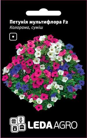 Петунія мультифлора "Колорама" F2, суміш 0,02г. L (Cherny Чехія)