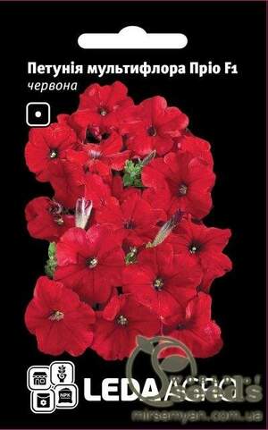 Петунія мультифлора Петунія мультифлора