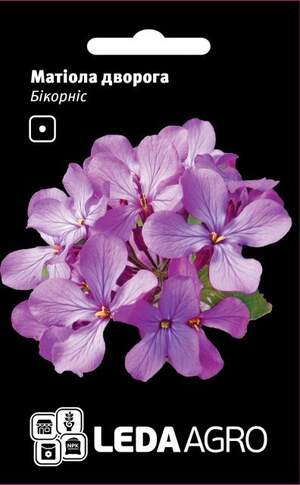 Матіола дворога "Бікорніс" 0.2г. L (Hem Zaden BV Нідерланди)
